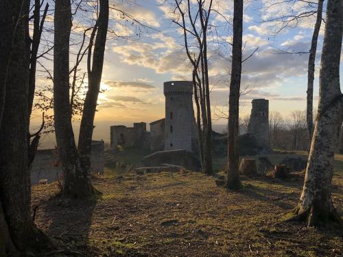 Château de la Faye [19-02-2022](IMG_4422).jpg